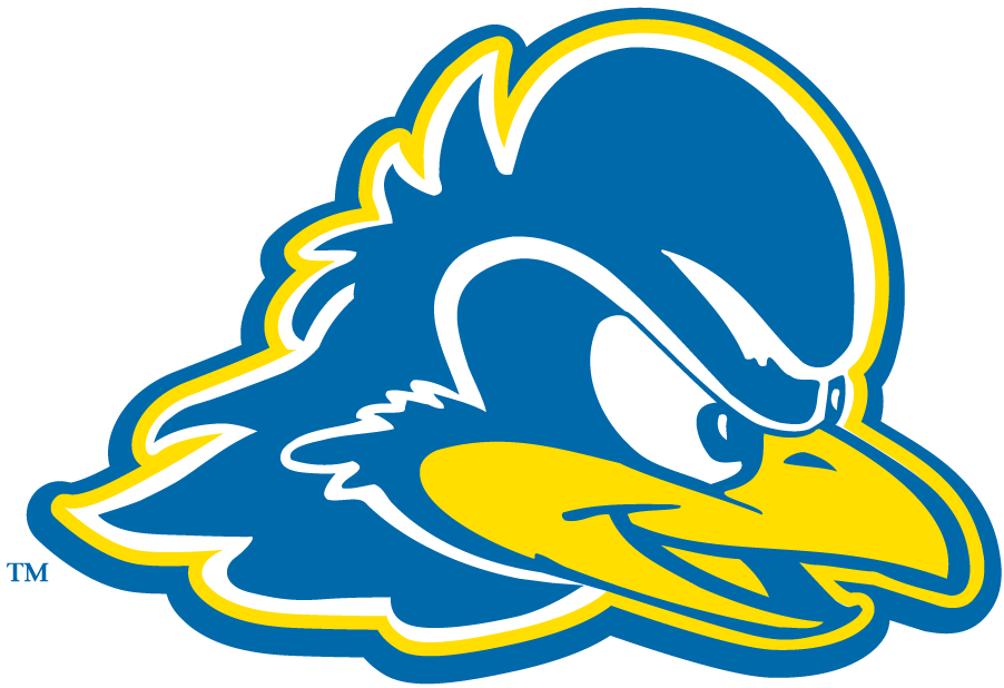 Delaware Blue Hens 2009-Pres Secondary Logo DIY iron on transfer (heat transfer)